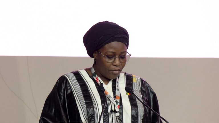 ministre de l'environnement, Doumbia Mariam Tangara